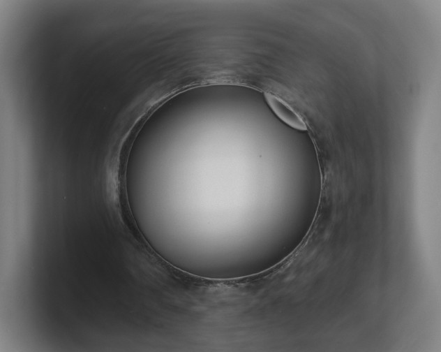 X0000101700290200807171520