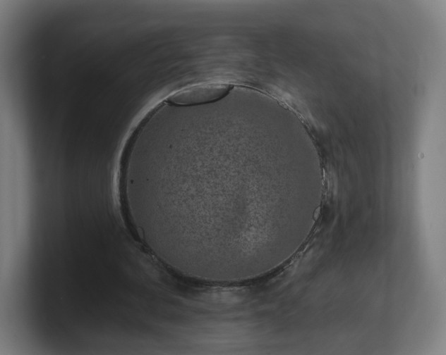 X0000101700292200807171520