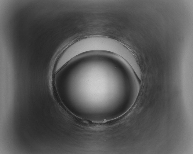 X0000101700293200807171520