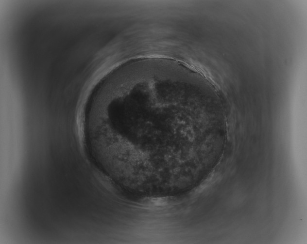 X0000101700295200807171520