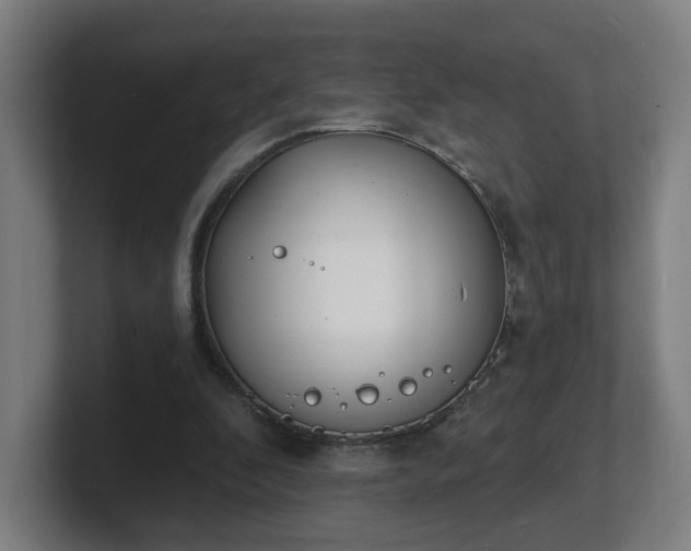 X0000101700296200807171520