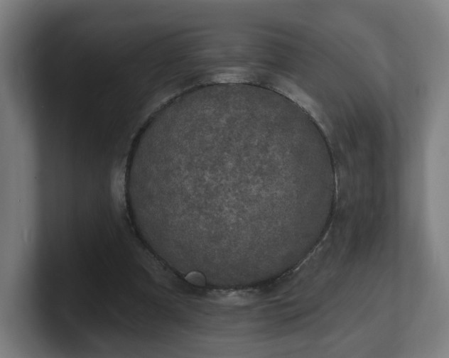 X0000101700297200807171520