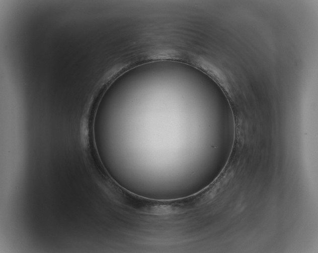 X0000101700298200807171520