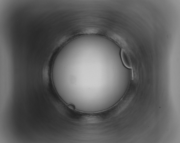 X0000101700300200807171520