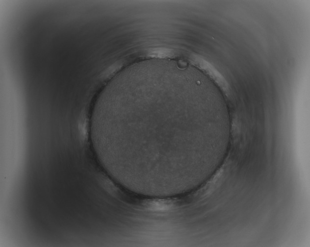 X0000101700305200807171520