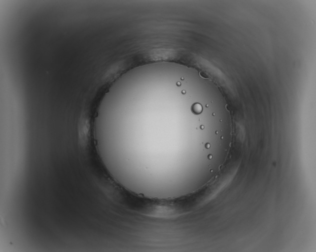 X0000101700308200807171520