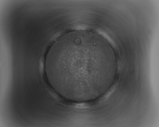 X0000101700309200807171520