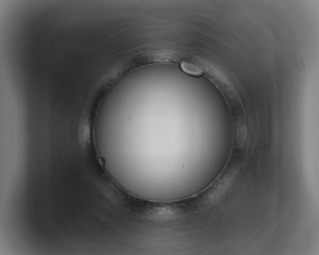 X0000101700310200807171520