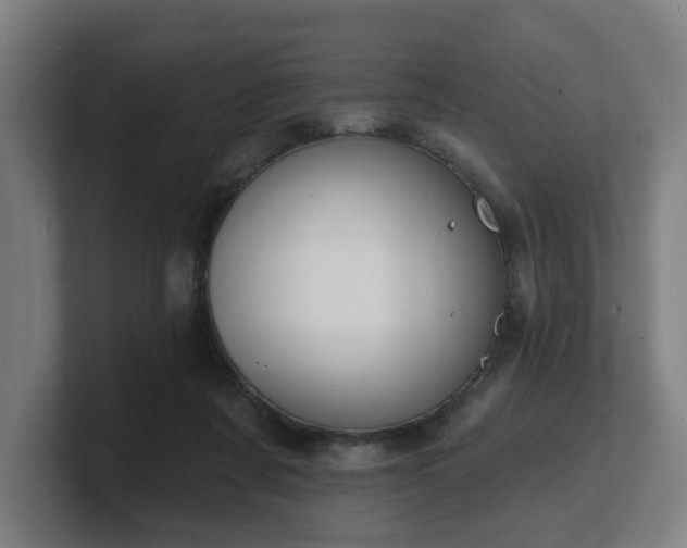 X0000101700311200807171520