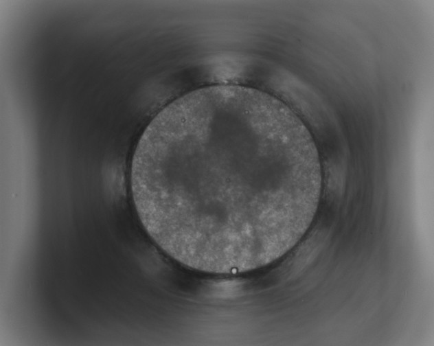 X0000101700313200807171520