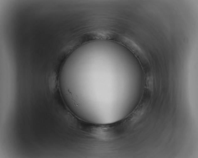 X0000101700318200807171520