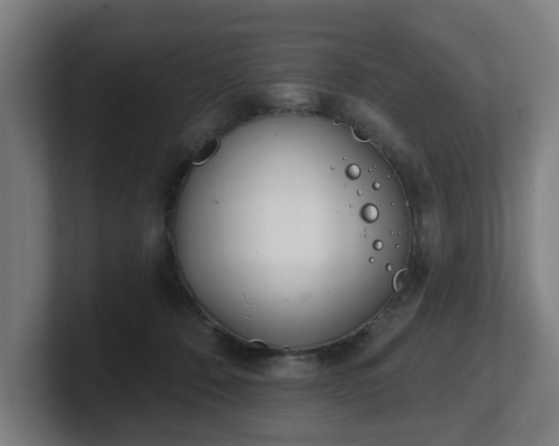 X0000101700320200807171520