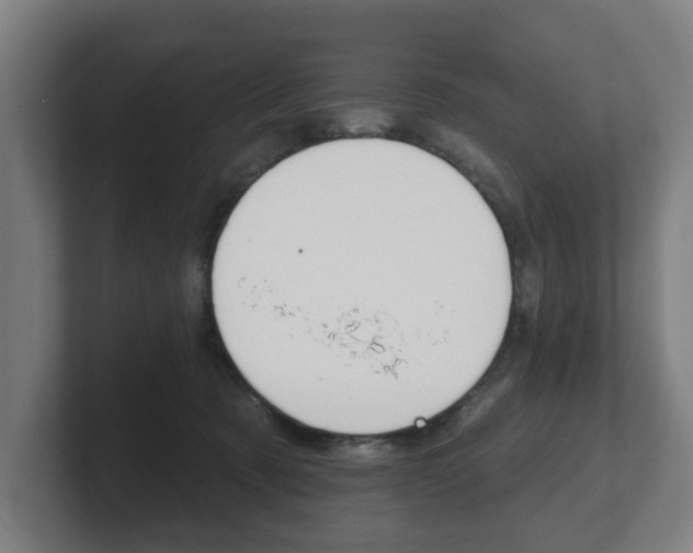 X0000101700321200807171520