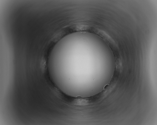 X0000101700327200807171520