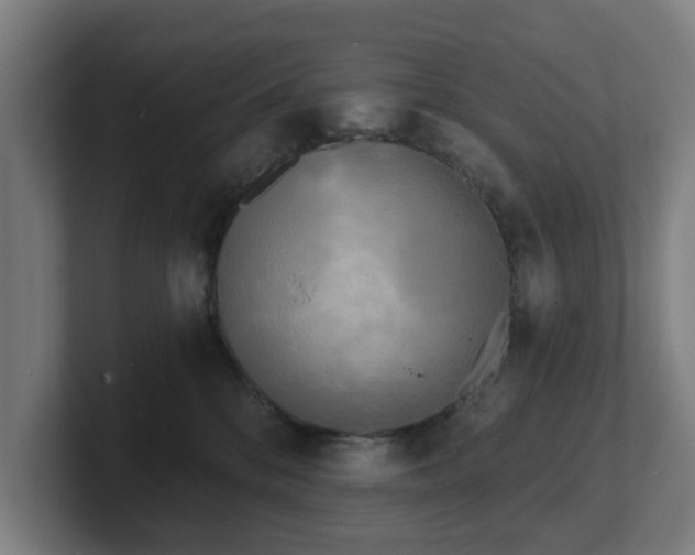 X0000101700328200807171520