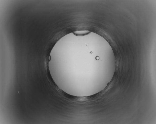 X0000101700333200807171520