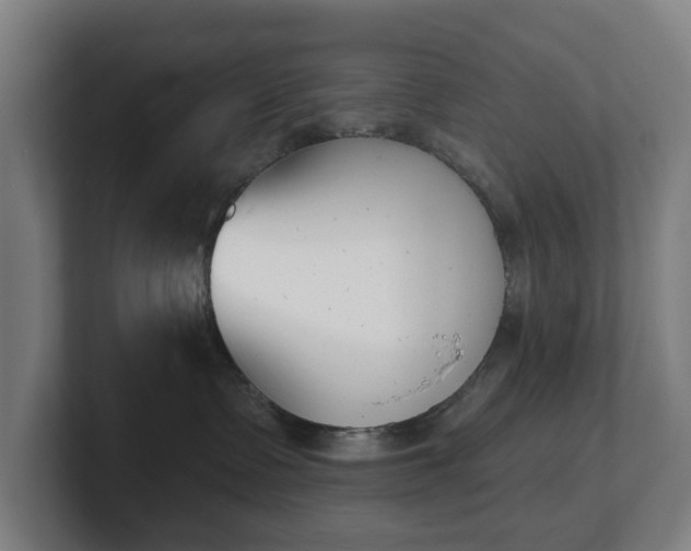 X0000101700335200807171520