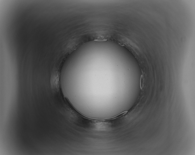 X0000101700336200807171520