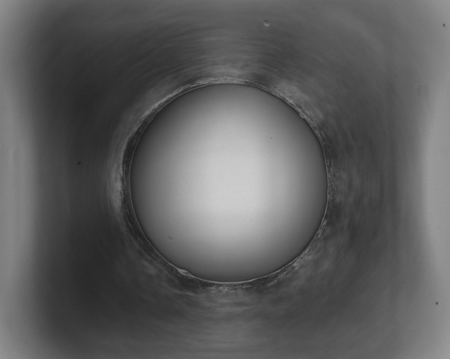 X0000101700338200807171519