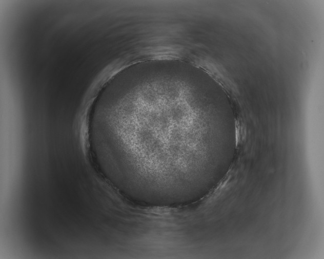 X0000101700339200807171519