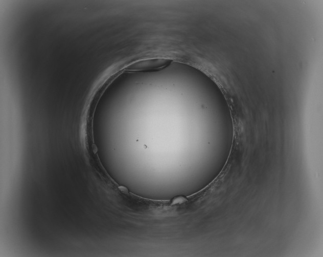 X0000101700340200807171519