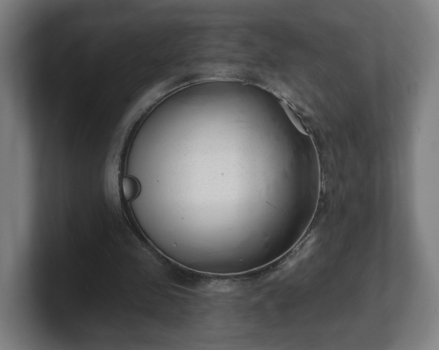 X0000101700341200807171519