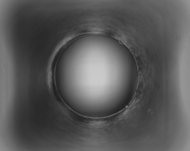 X0000101700342200807171519