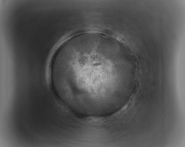 X0000101700343200807171519