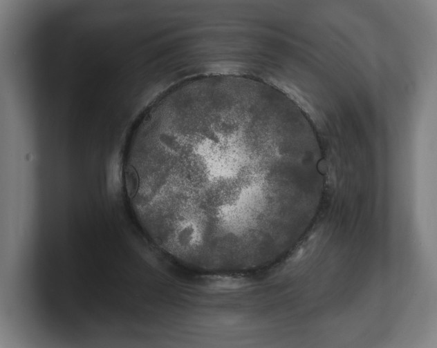 X0000101700347200807171519