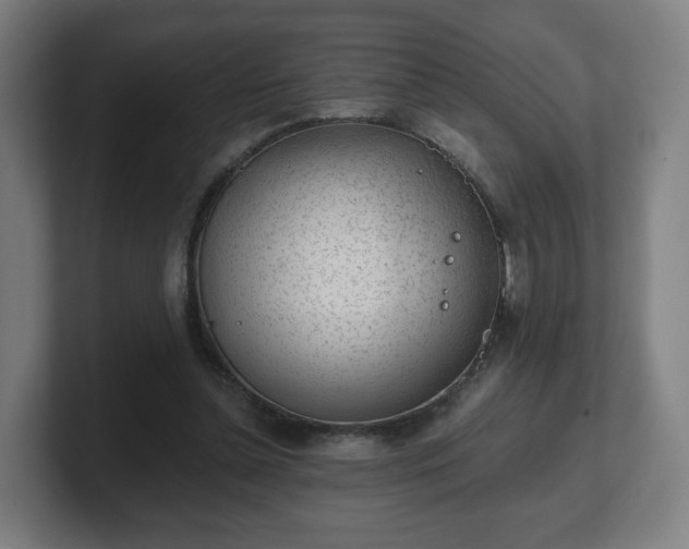 X0000101700348200807171519