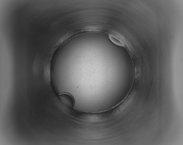 X0000101700349200807171519