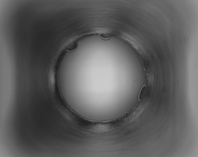 X0000101700350200807171519