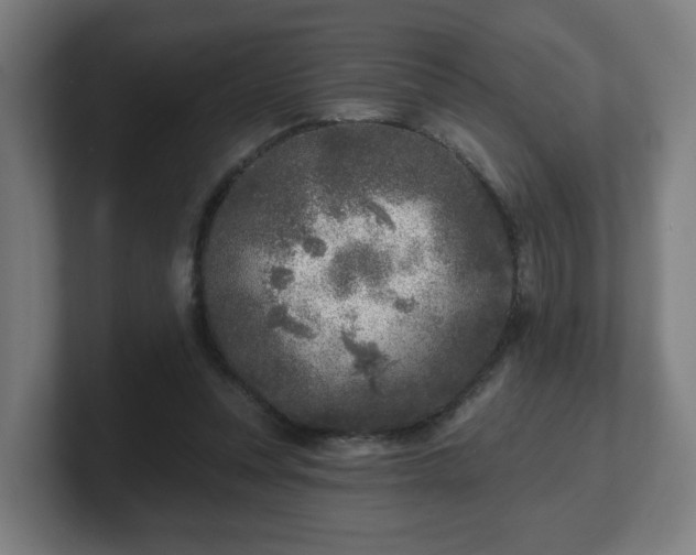 X0000101700351200807171519