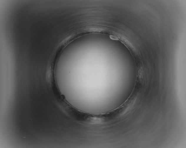 X0000101700352200807171519