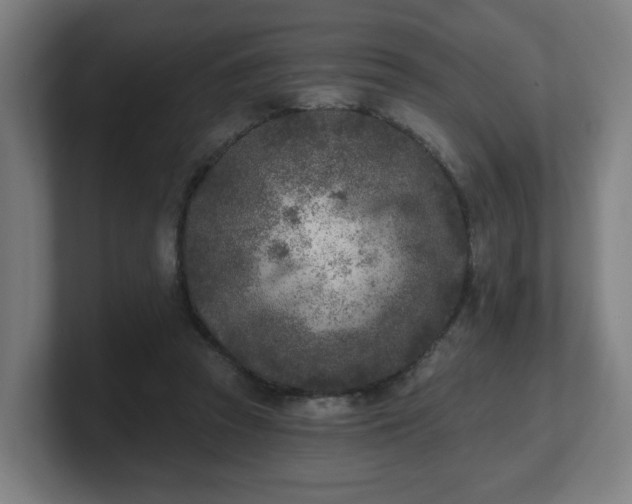 X0000101700353200807171519