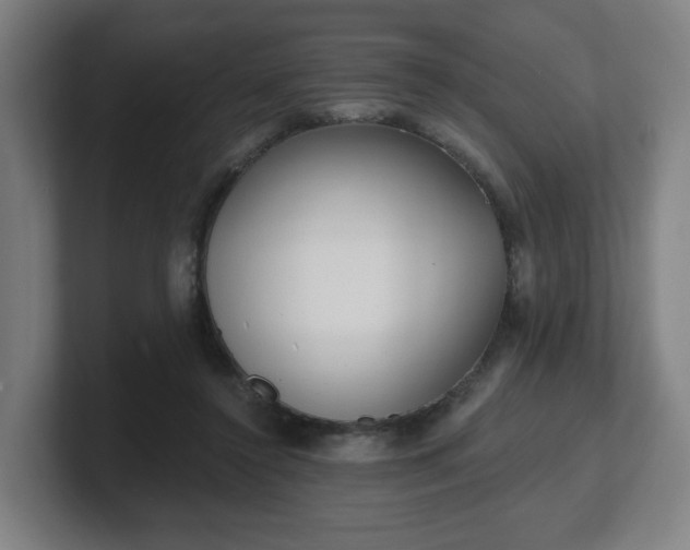 X0000101700356200807171519