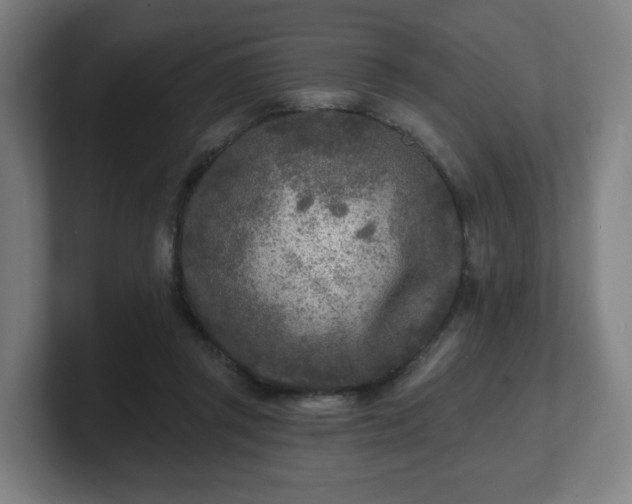 X0000101700357200807171519