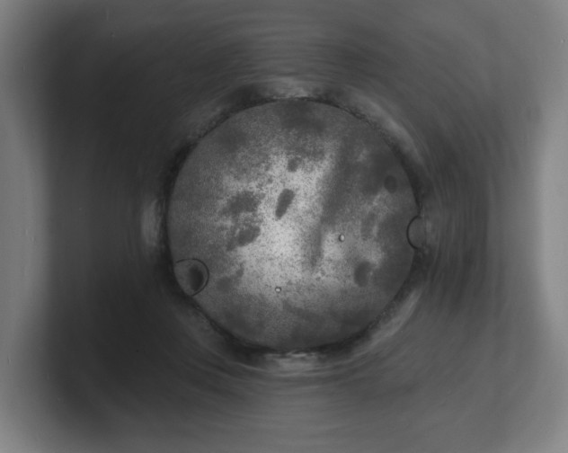 X0000101700359200807171519