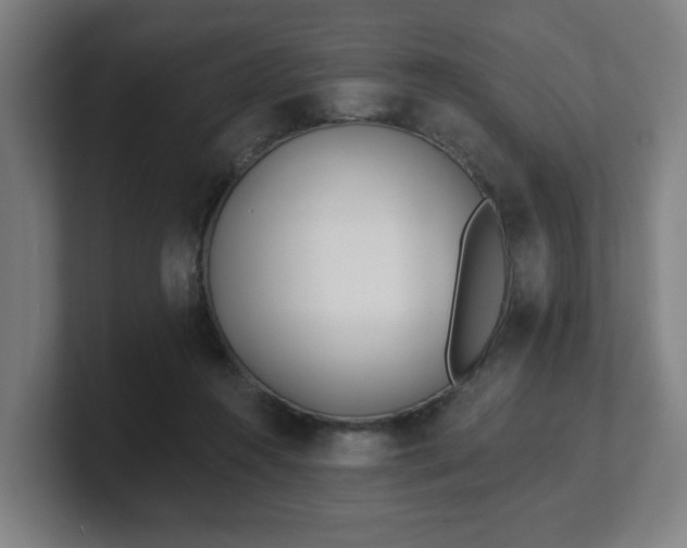 X0000101700360200807171519