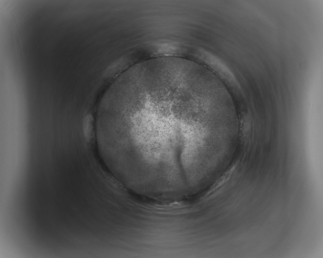 X0000101700361200807171519