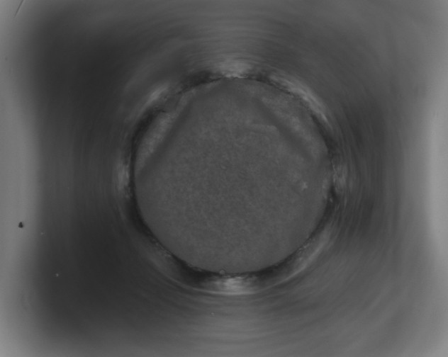 X0000101700365200807171519