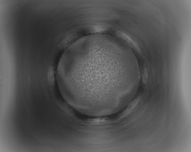 X0000101700366200807171519