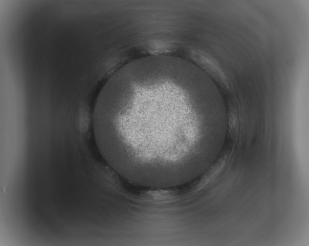 X0000101700367200807171519