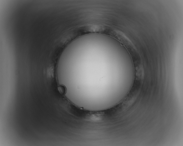 X0000101700368200807171519