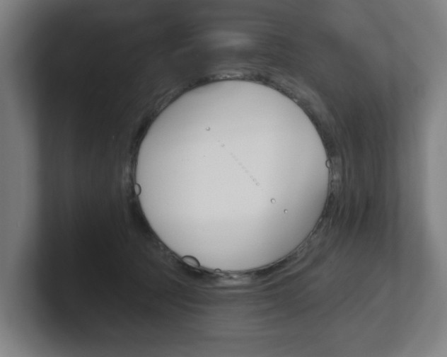 X0000101700369200807171519