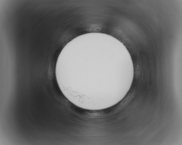 X0000101700370200807171519