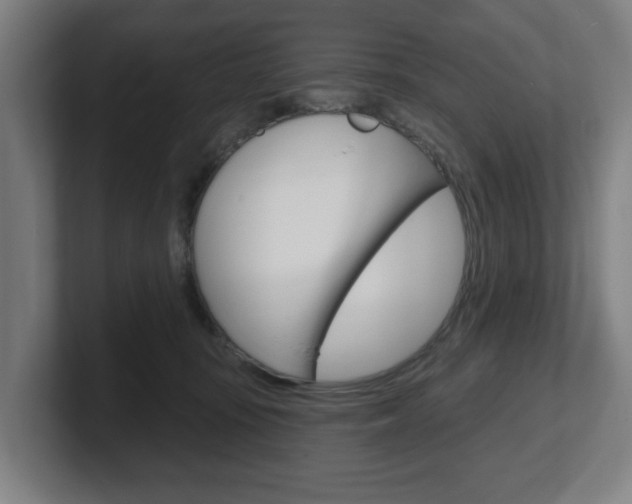 X0000101700371200807171520