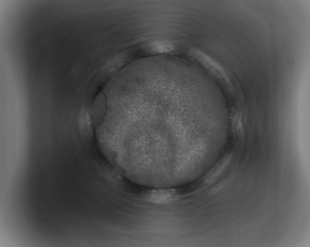 X0000101700373200807171520