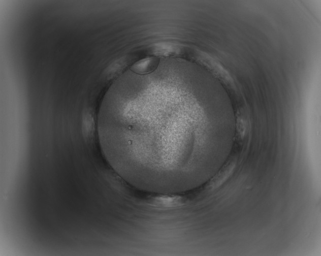 X0000101700375200807171520