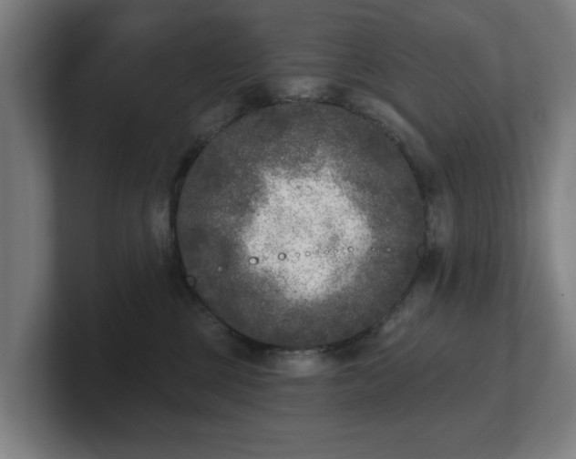 X0000101700377200807171520